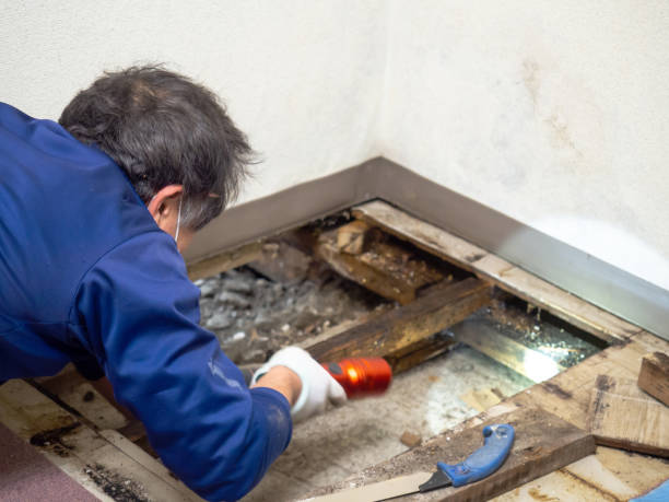 Water Damage Restoration in Columbus, NM