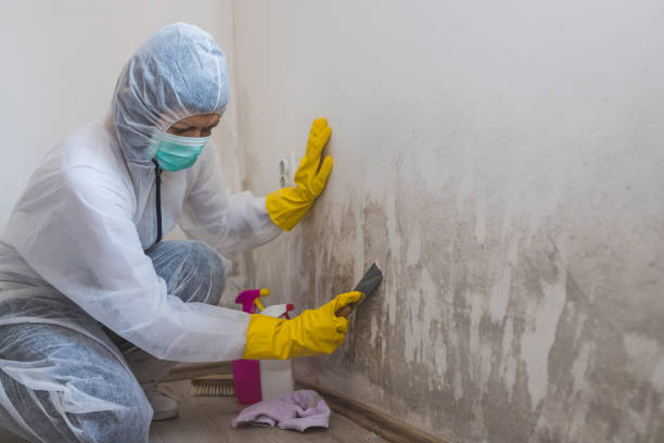 Best Mold Testing  in Columbus, NM