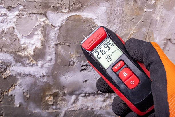 Best Mold Testing  in Columbus, NM