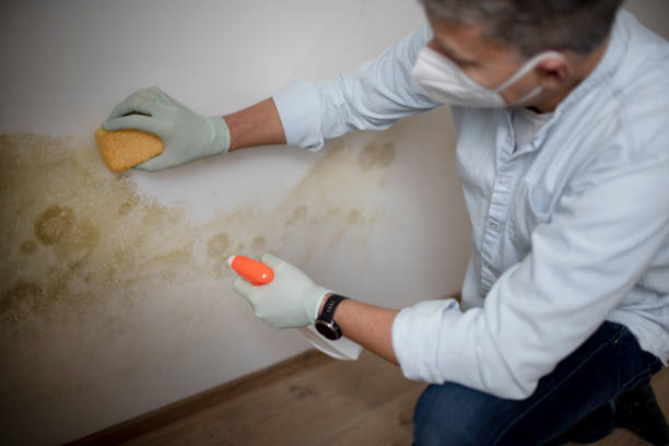 Water Damage Restoration in Columbus, NM
